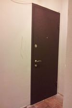 Фото стальной железной двери